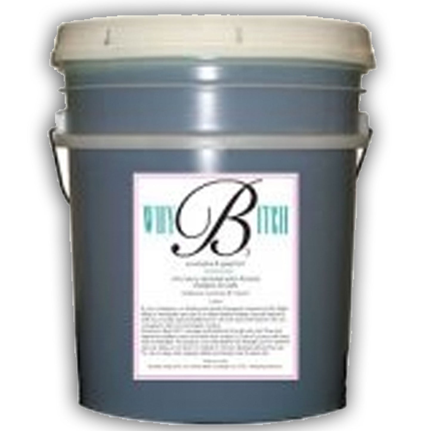 B3 Pro 40: 1 5 Gallon Bucket W/Pump